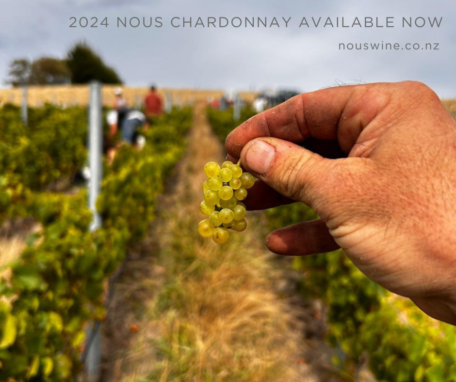 2024 Chardonnay (6-pack)