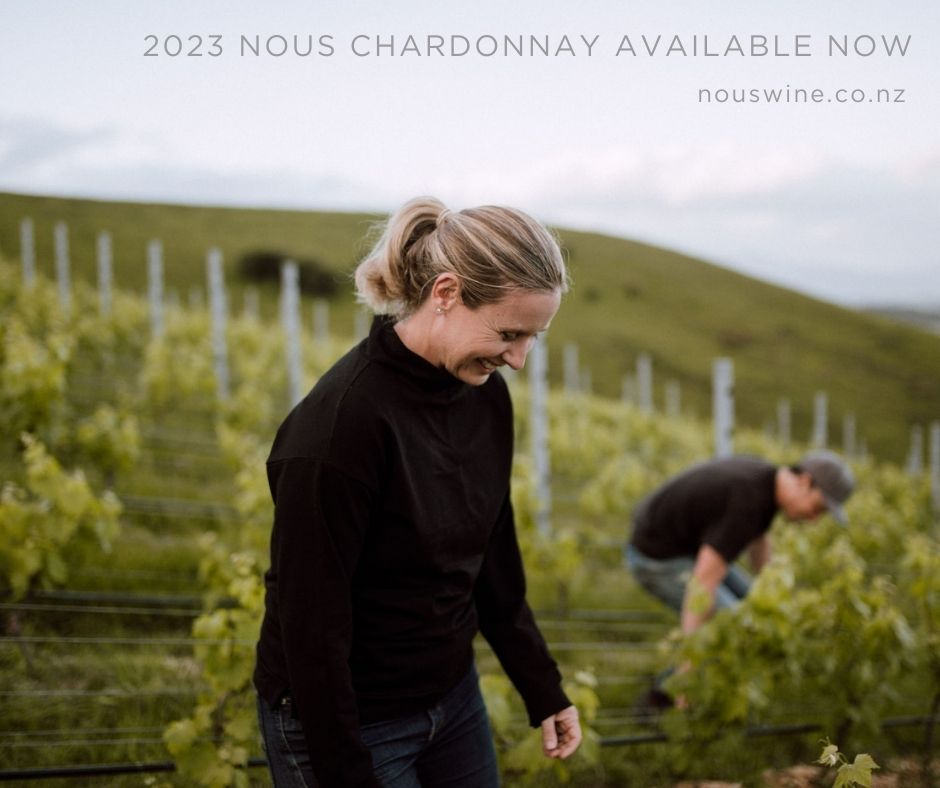 2023 Chardonnay (6-pack)